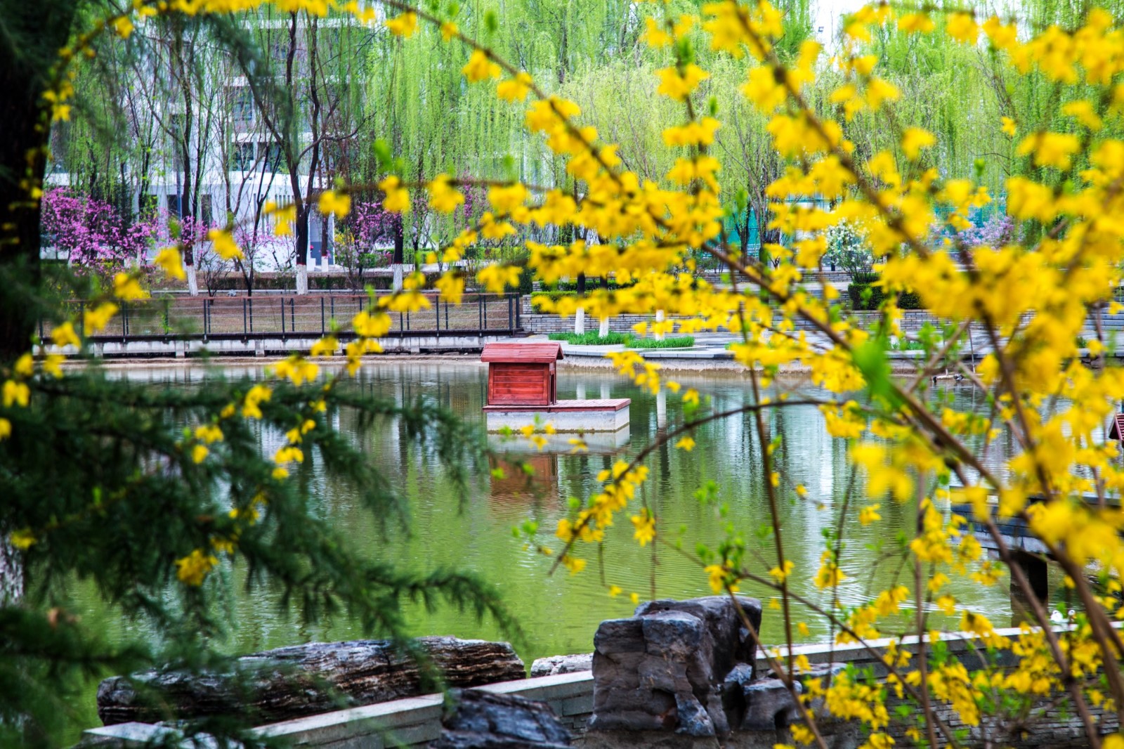 A81C7D9A8230457DBB84D26030103C1D